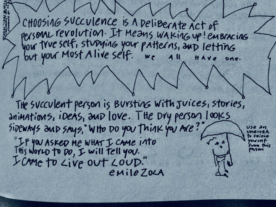 Choosing Succulence