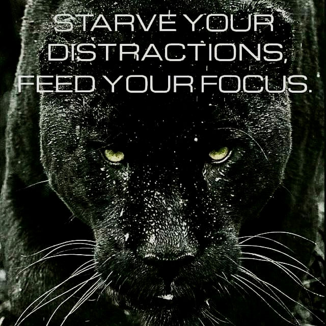 Intuitive Transformational Life Coaching 